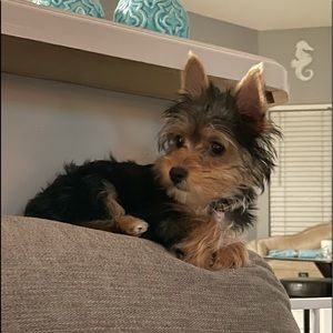 Meet your Posher, Kelly